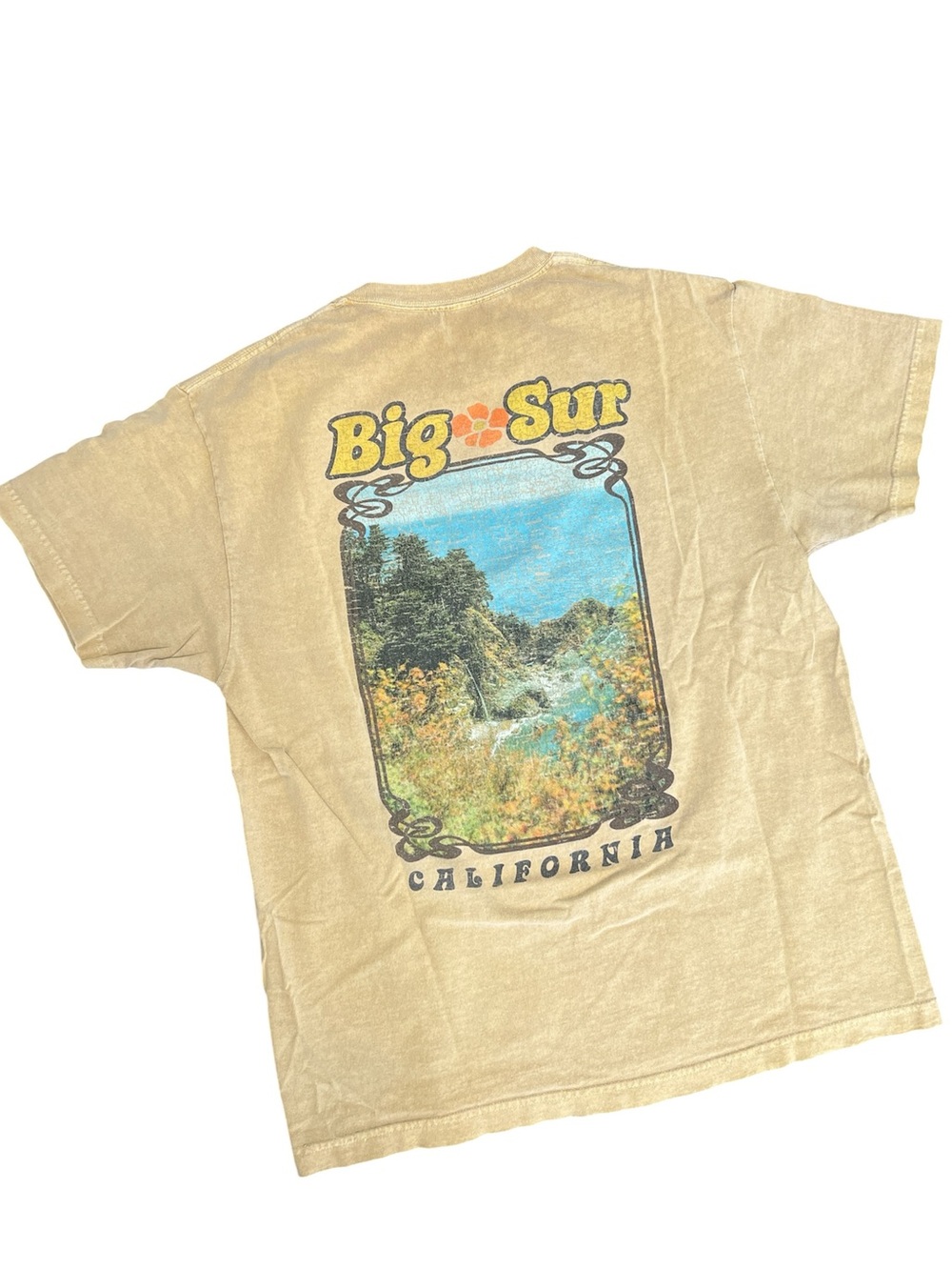 PacSun Tan Crewneck T-Shirt with Big Sur Logo Print Mens size M